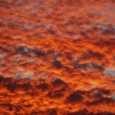 Inspiration comes in waves and  never seems to stop. After all, it’s not like you can flip a switch and turn it on and off.  Mother nature is clearly in […]